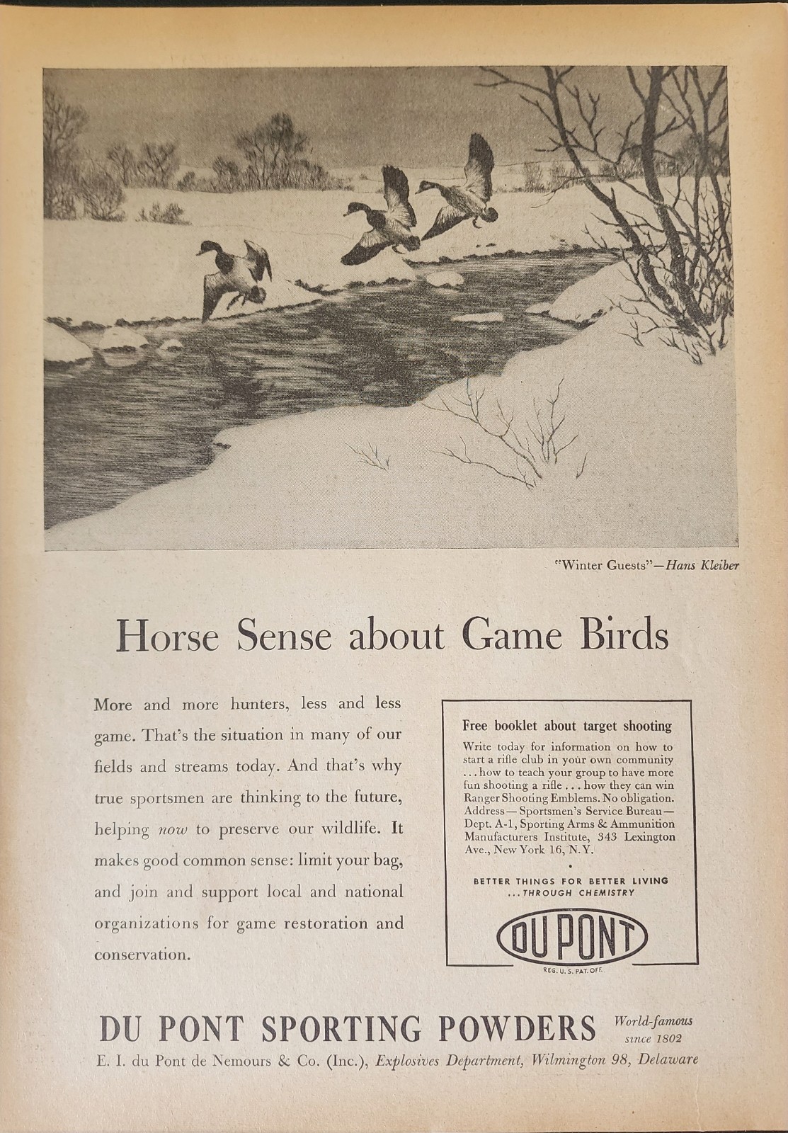 Du Pont Game Birds Picture Magazine Ad Original 1948 Hunter Shooting Wall Art