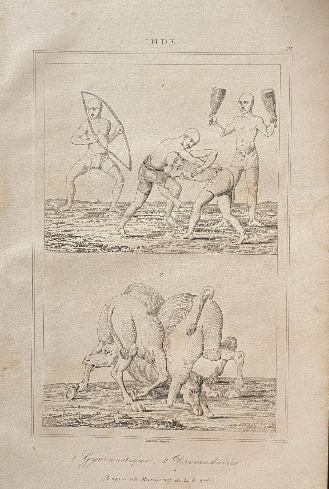 Engraving India 1843 “Wrestlers Gymnastics – Dromedaries”