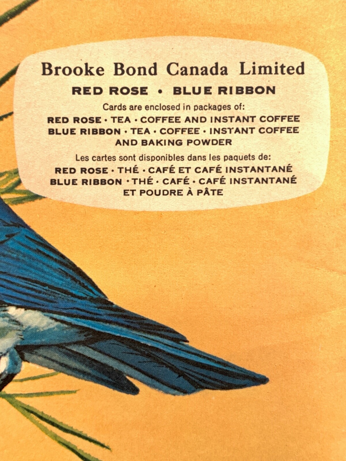 Canadian-American Songbirds Booklet Album #9, Birds, Songbirds, Brooke Bond 1966