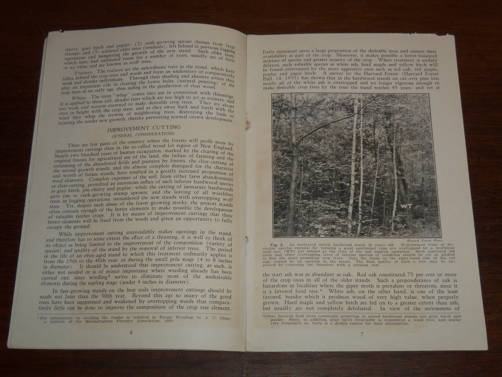 1928-1935 LUMBER BULLETINS LOT OF 2 ISSUES – GRADE MARKING – IMPROVEMENT- K 1093
