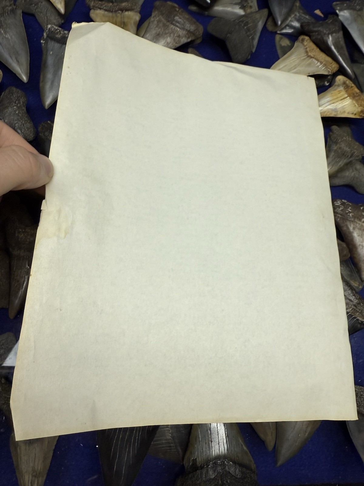 VTG HILARIOUS Sears Roebuck and Co Letter Unpaid Customer Story