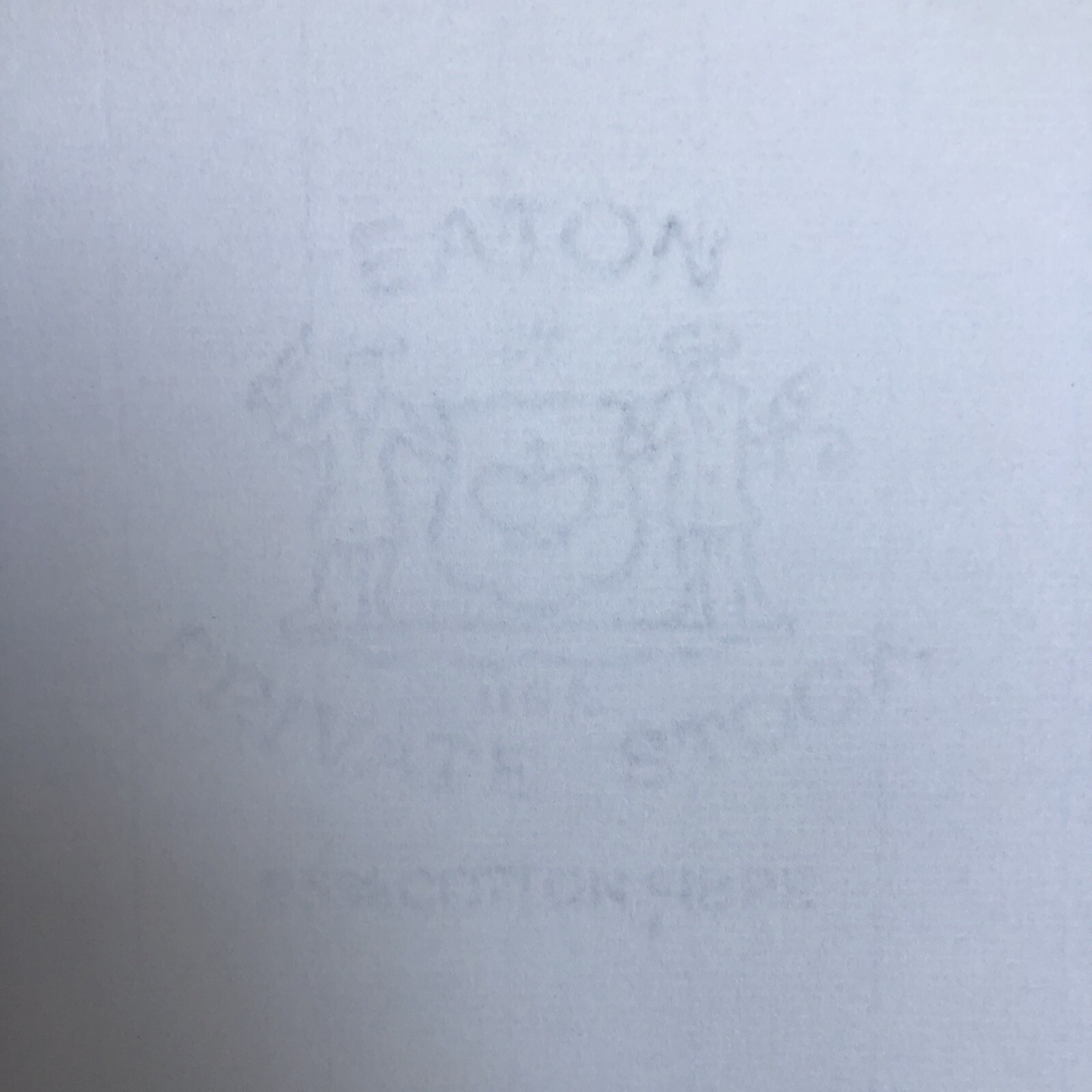 Vintage EATON PRIVATE STOCK 25% Cotton Fibre 24# Light Gray Laid Paper 500/Box