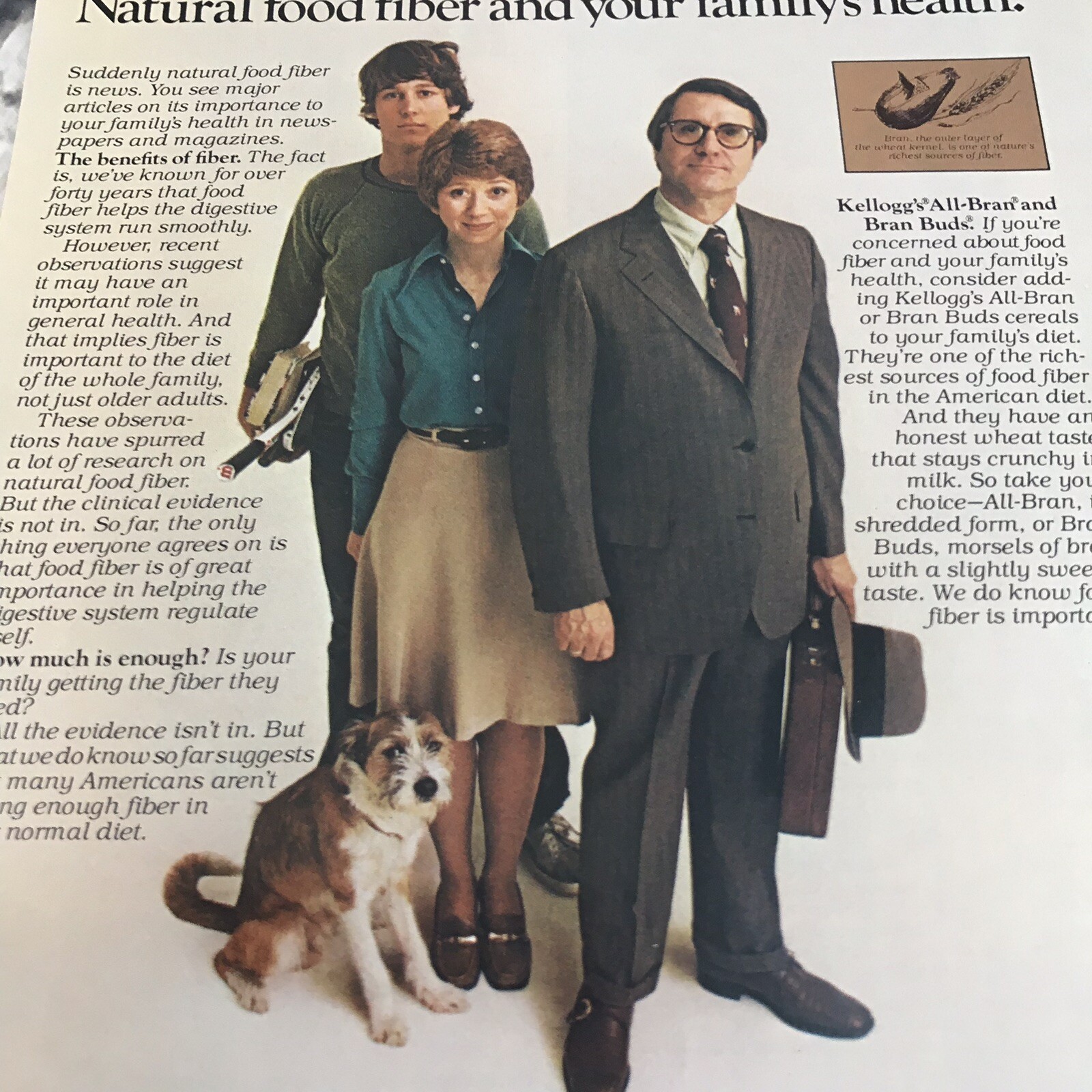 Vtg 1976 Kelloggs All Bran Bran Buds Print Ad Advertising Art