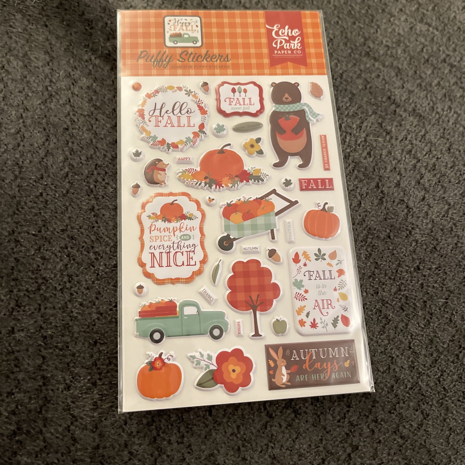 New Echo Park Paper Co Happy Fall Puffy Stickers Sheet D13