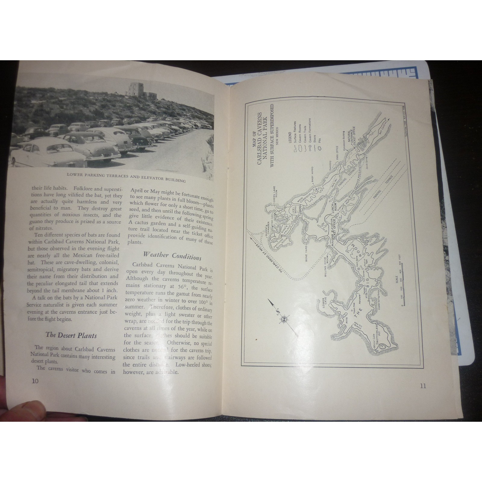 1951 Carlsbad Caverns National Park New Mexico Vintage Souvenir Booklet Map