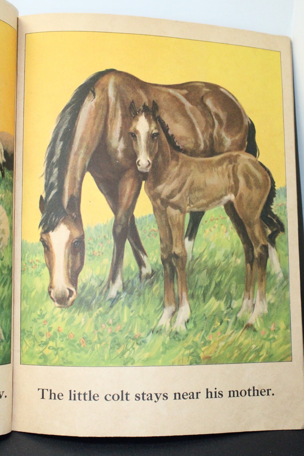 Vintage Farm Friends Large Children’s Paperback Book