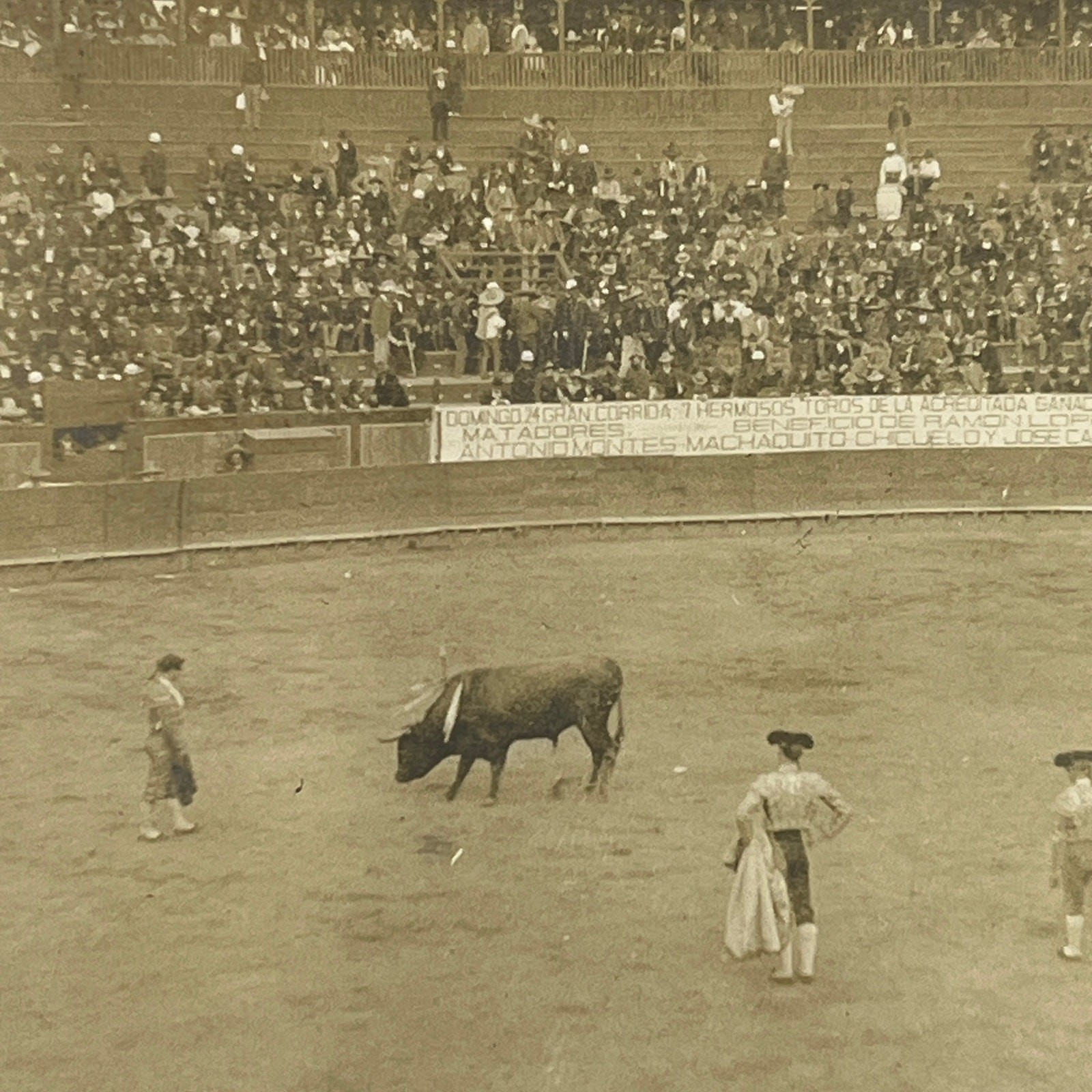1903 Original Photo Bullfighting Bullfight At Plaza de Toros Mexico City AC7-4