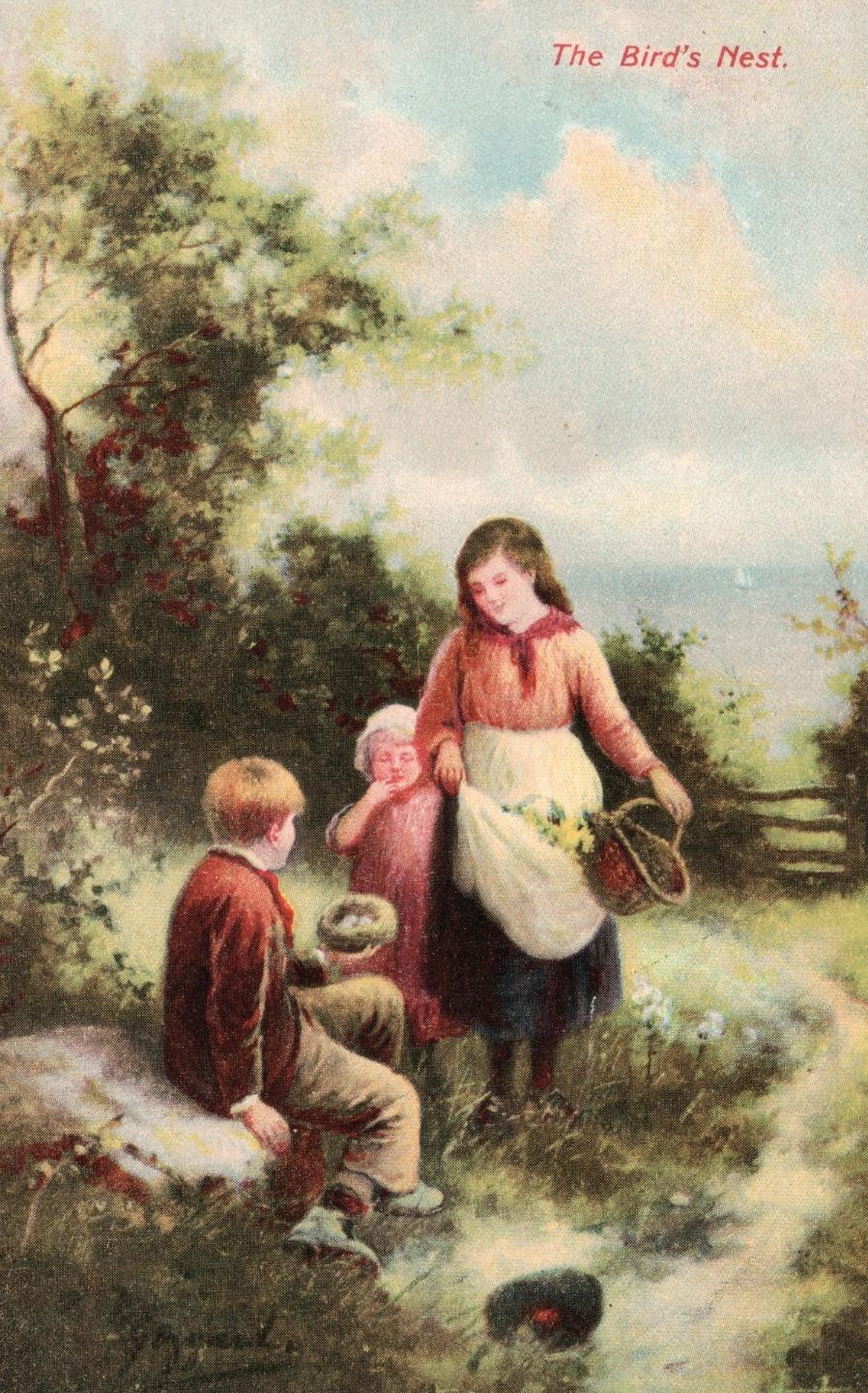 EARLY 1900’s ANTIQUE The Birds Nest POSTCARD sent to 59 Prospect Rd, Summer Hill
