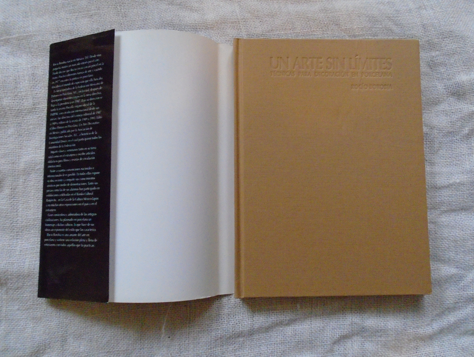 Un Arte Sin Limites Art Without Limits Spanish Rocio Borobia Hardcover 1995