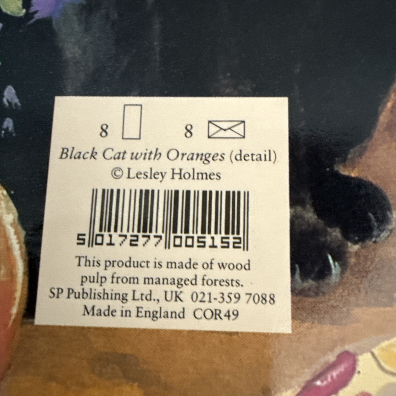 Vintage Greetings Cards Made In England Lesley Holmes Black Cat Orange Pack 8