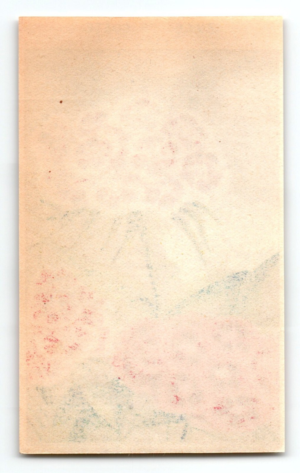 1920’s Flower Art Print OEILLET De Poete Lithograph Original Made For Seed Pack