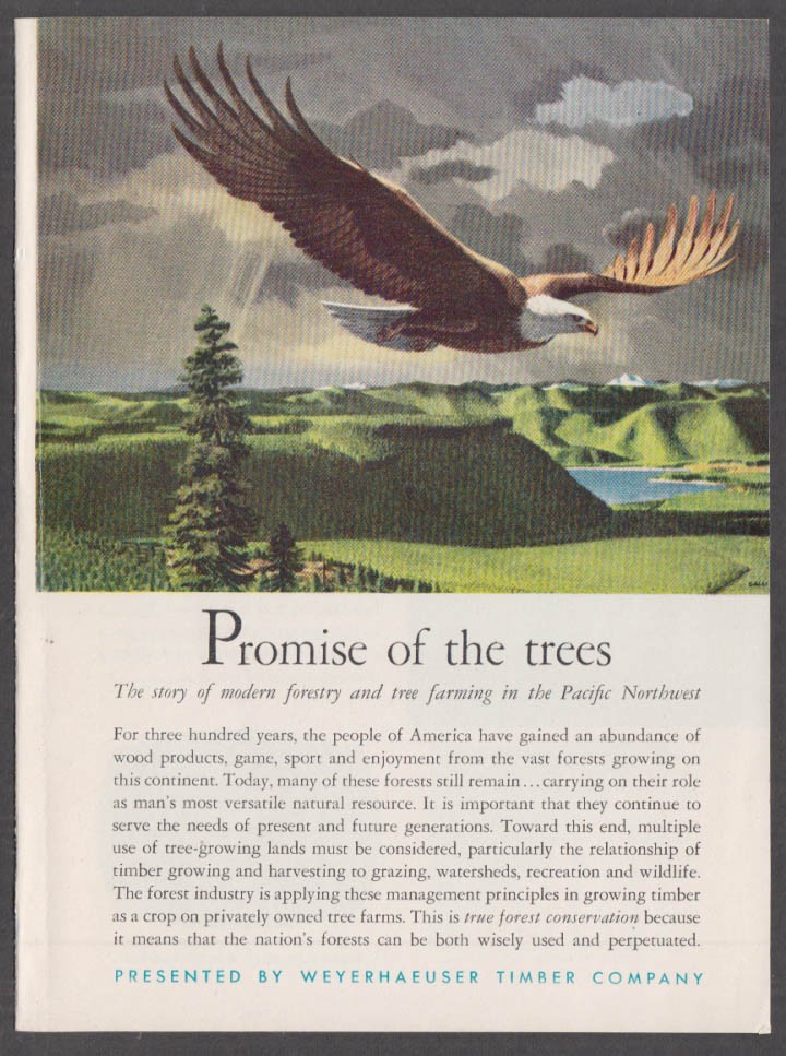 Weyerhaeuser Timber Co Promise of the Trees reforestation booklet 1955