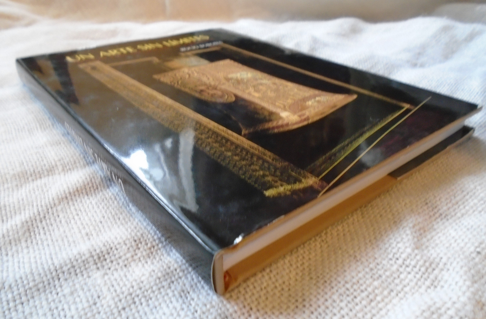Un Arte Sin Limites Art Without Limits Spanish Rocio Borobia Hardcover 1995
