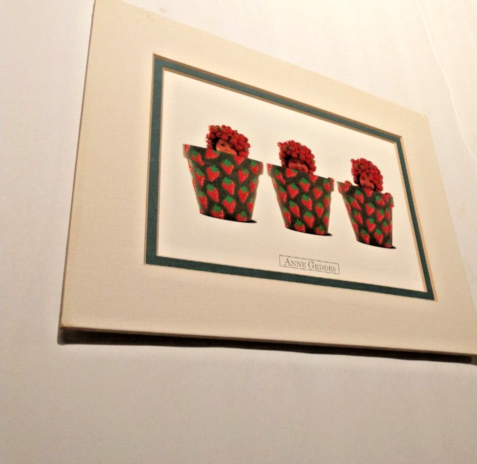 Anne Geddes 8 x 10 Matte Print ~ Strawberry Babies