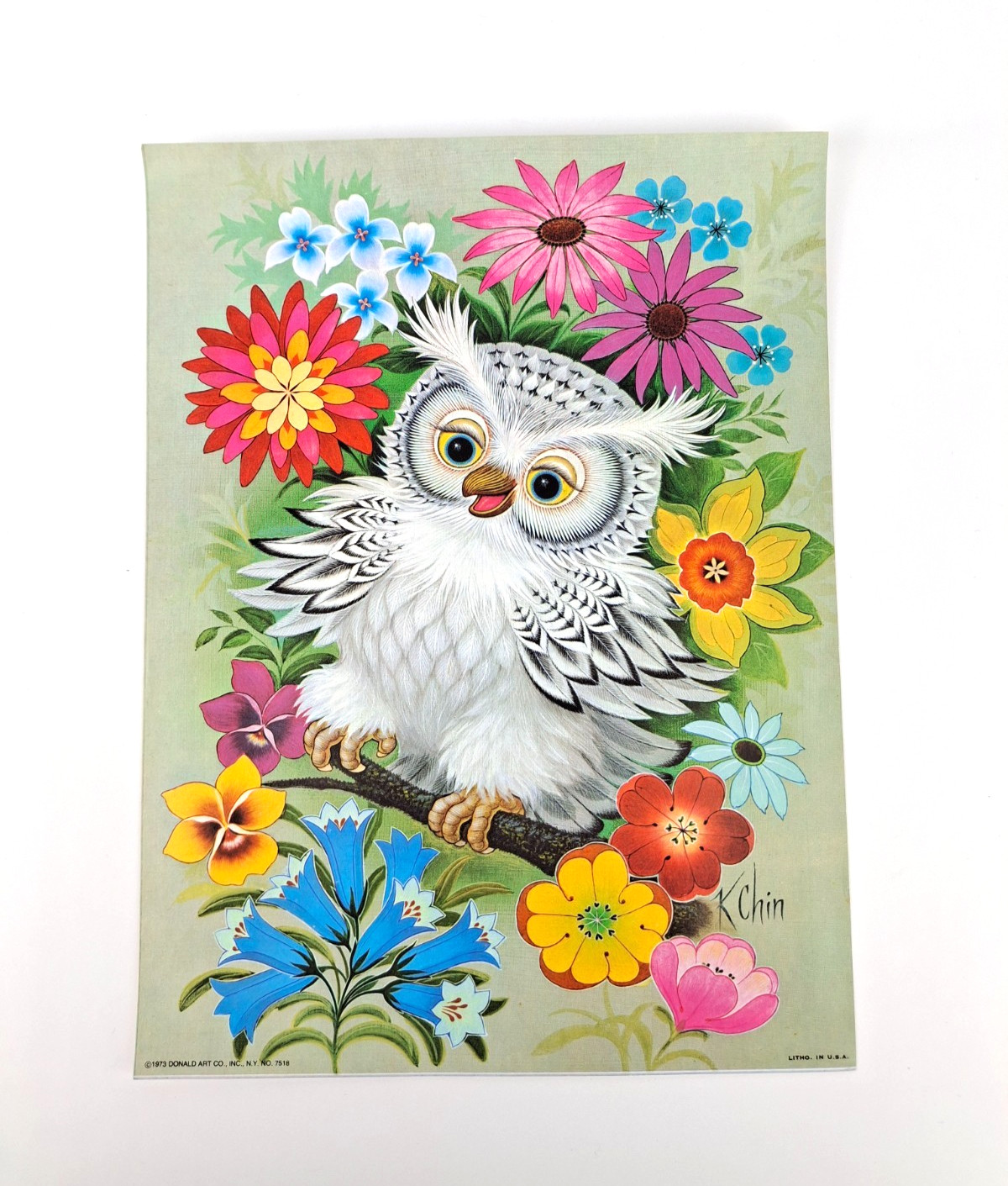 VTG 70s K Chin Owl Litho Print Mid Century Modern Donald Art Co. 9″ x 12″ #7518