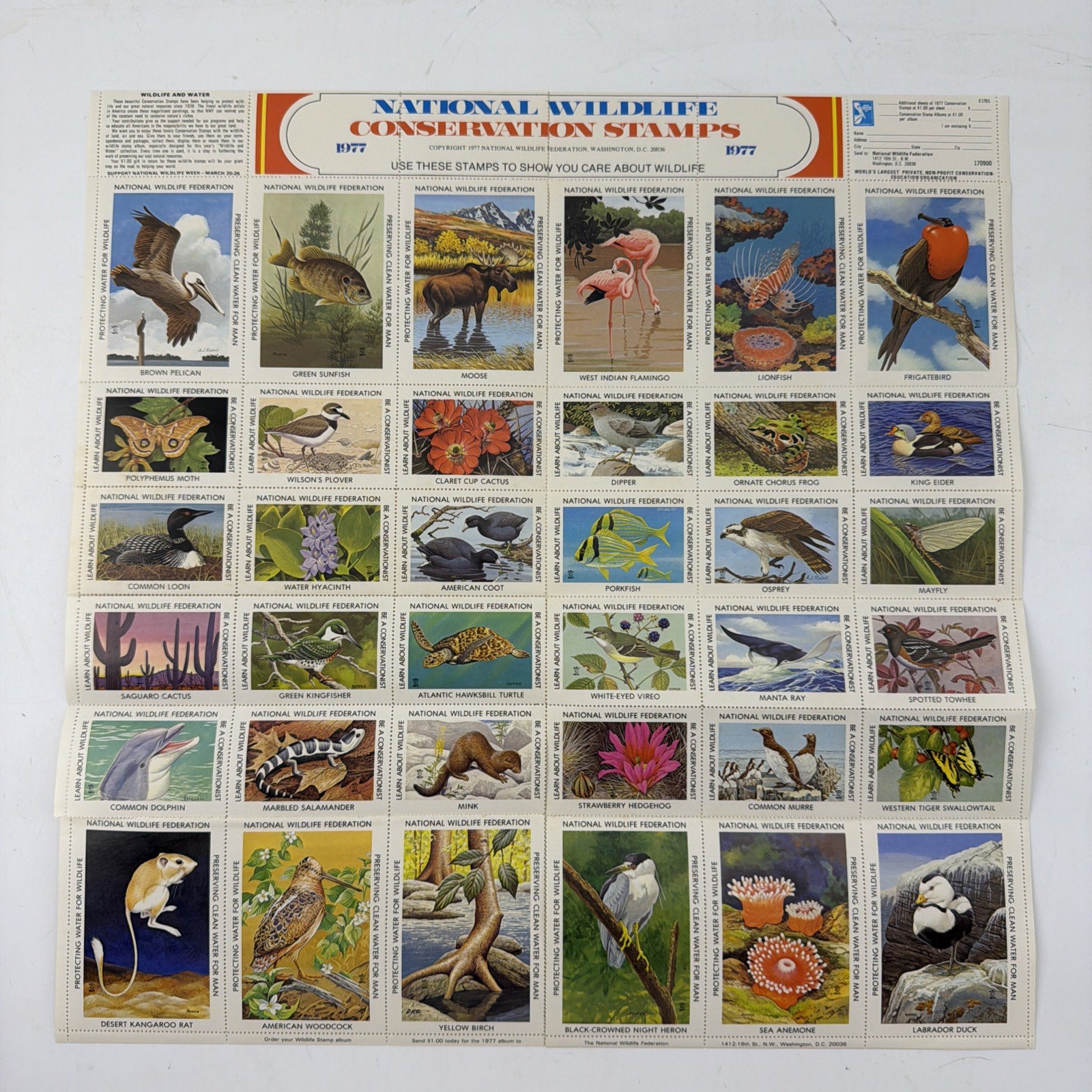 4 Large NWF Wildlife Conservation Stamp Sheets Lot 1973–1977 Birds Nature Art