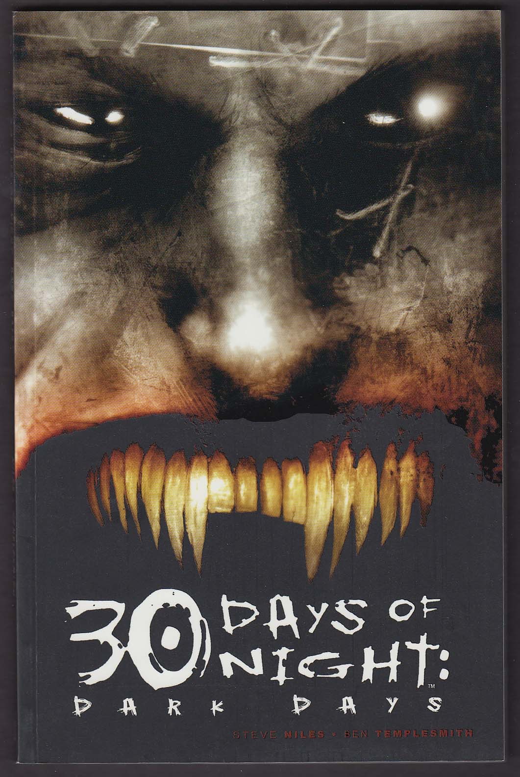 30 Days of Night: Dark Days #2 IDW graphic novel comic book 2nd printing 2007