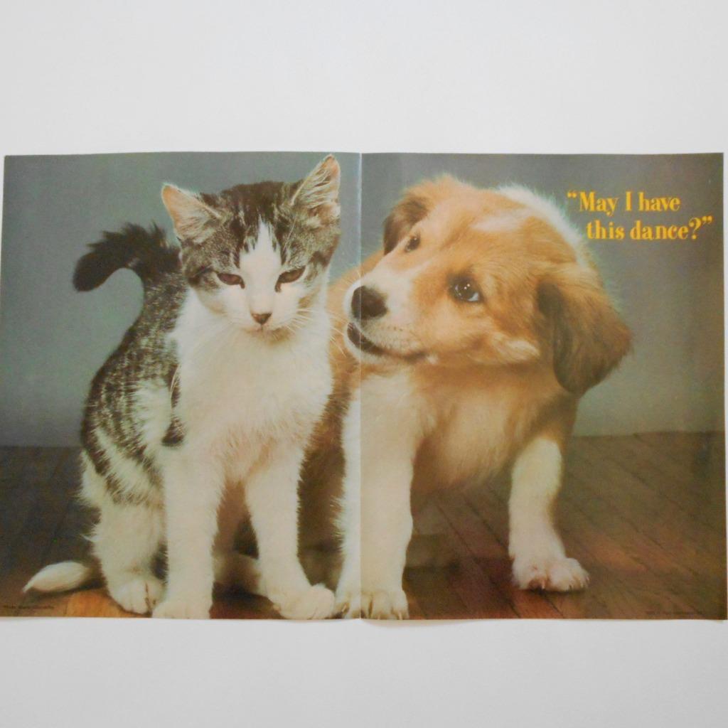 Troll Books 4 Poster Lot Cats Dogs Horses Vintage Kids Room Decor 1980s