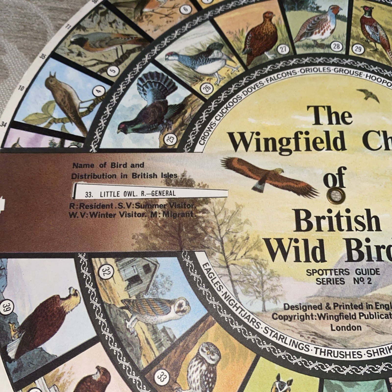 Vintage The Wingfield Chart of British Wild Birds. Spotters Guide info wheel