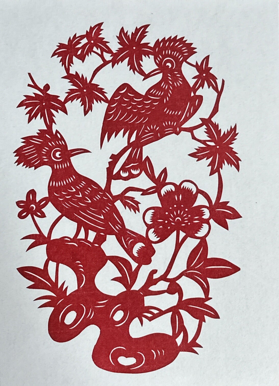 Chinese Paper Cuts Birds Butterfly Dragon Large Set 5 Red Single Pieces