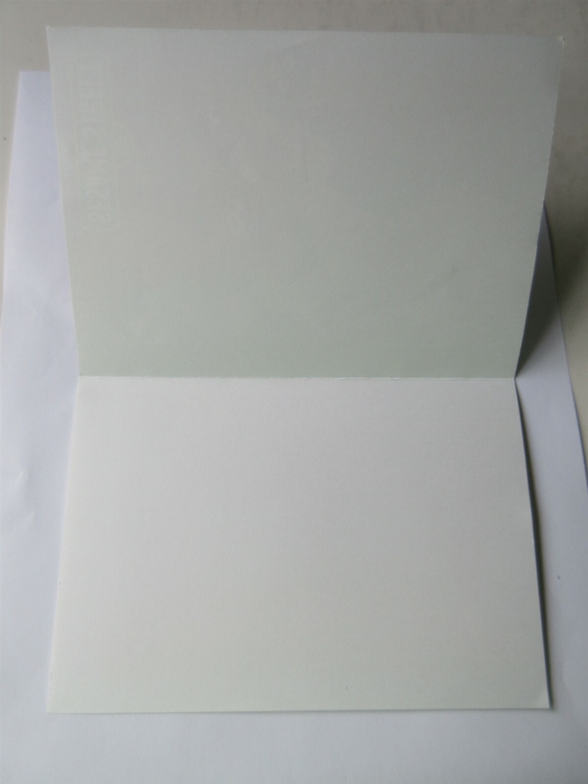 2000 Cast of Sesame Street Card WNET Channel 13 NY
