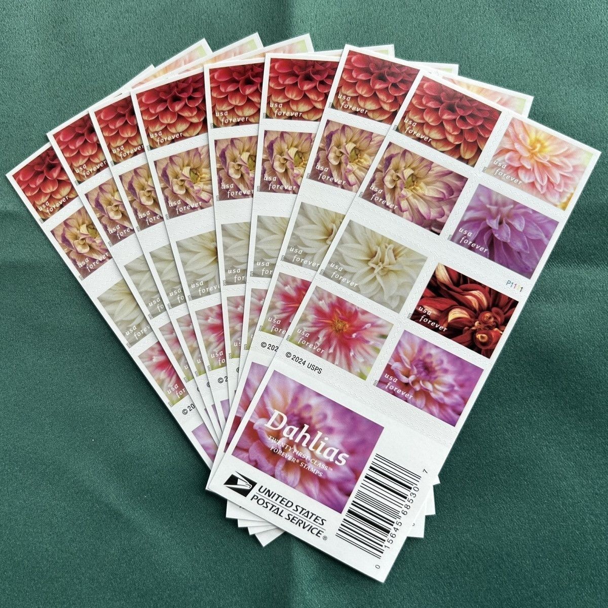 100 stamps 2025 Dahlia Flowers USPS Scott#5992-6001 MNH First Class Stamps