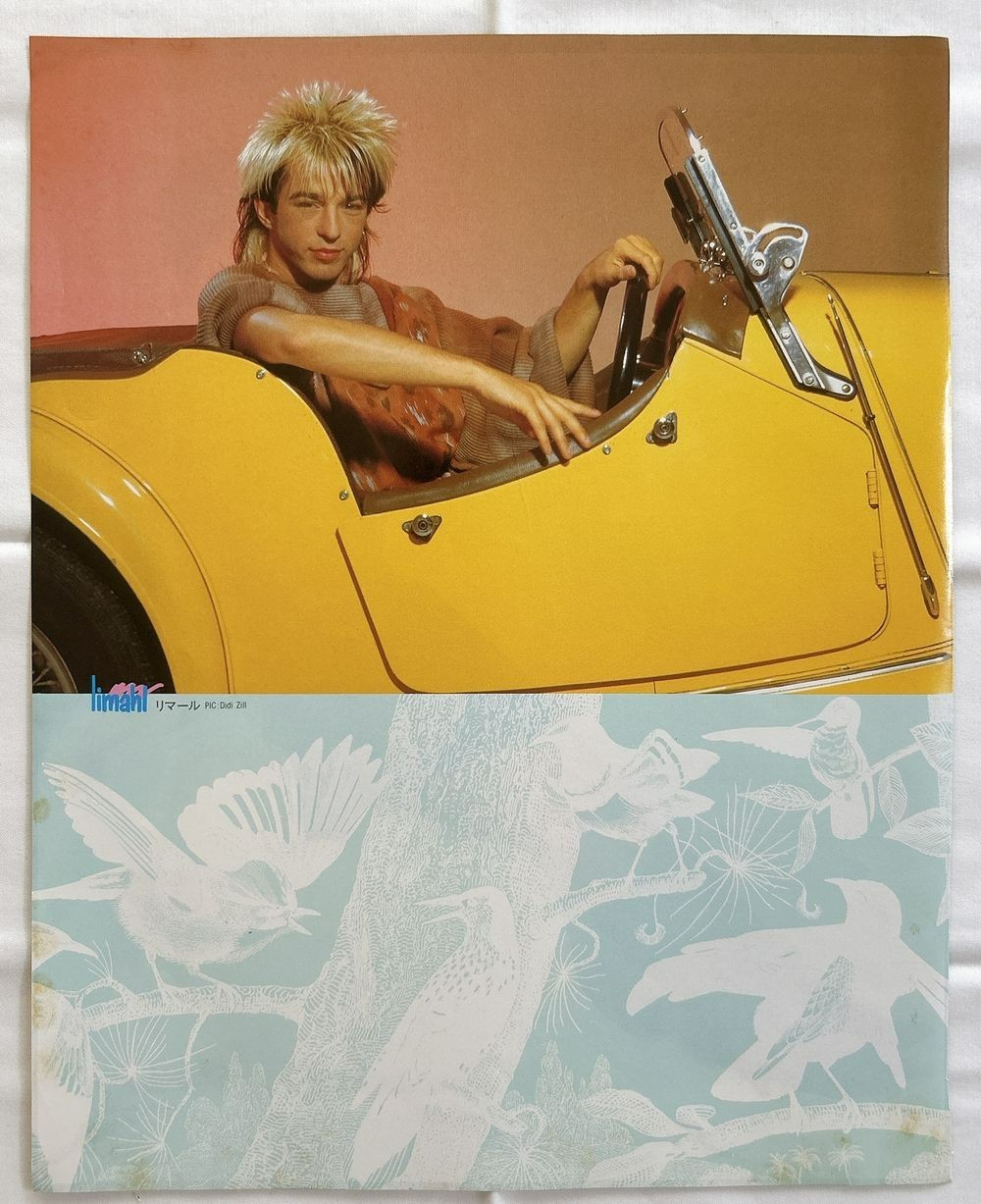 Sheena Easton Limahl Japan Mag Clipping Photos 2 Pages 1984