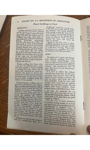 USDA Forest Service Leaflet 487 Black Walnut Timber Planting 1974 – Forestry
