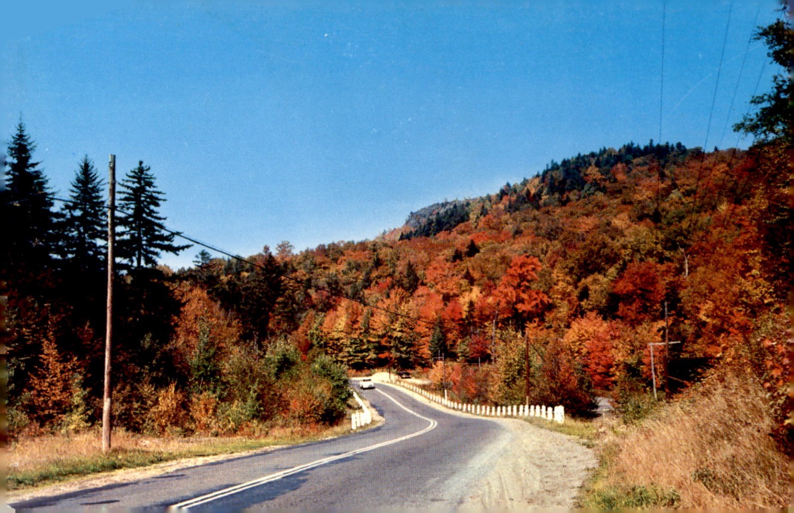 1950s Pocono Mountains Fall Foliay Road Dexter Press Postcard DR 51441