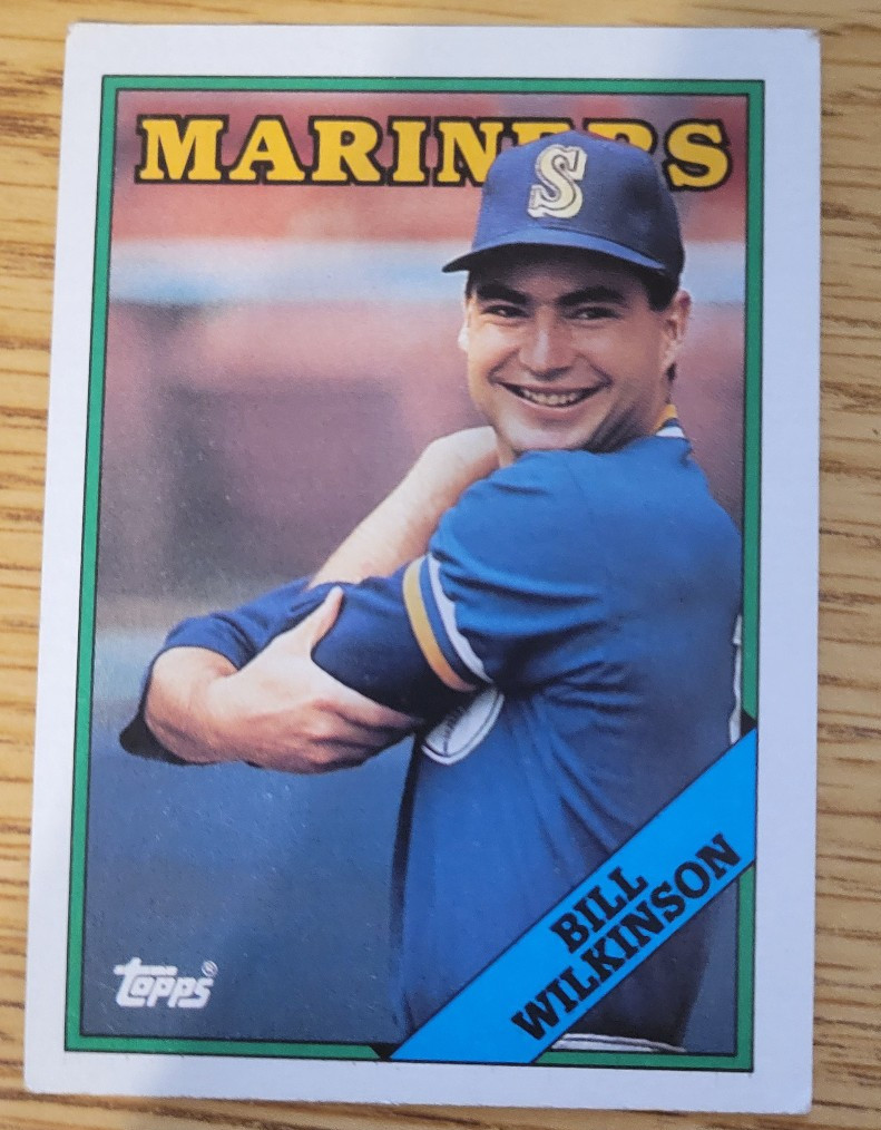 Bill Wilkinson Baseball Card #376