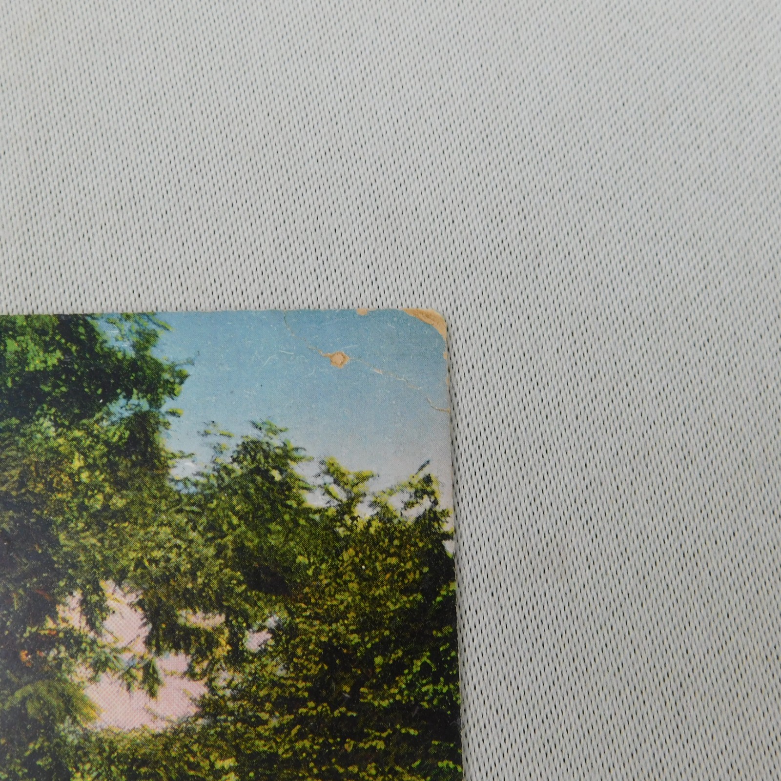 Vintage Loretto Academy Loretto Kentucky Lithograph 1910s 20s Antique Postcard