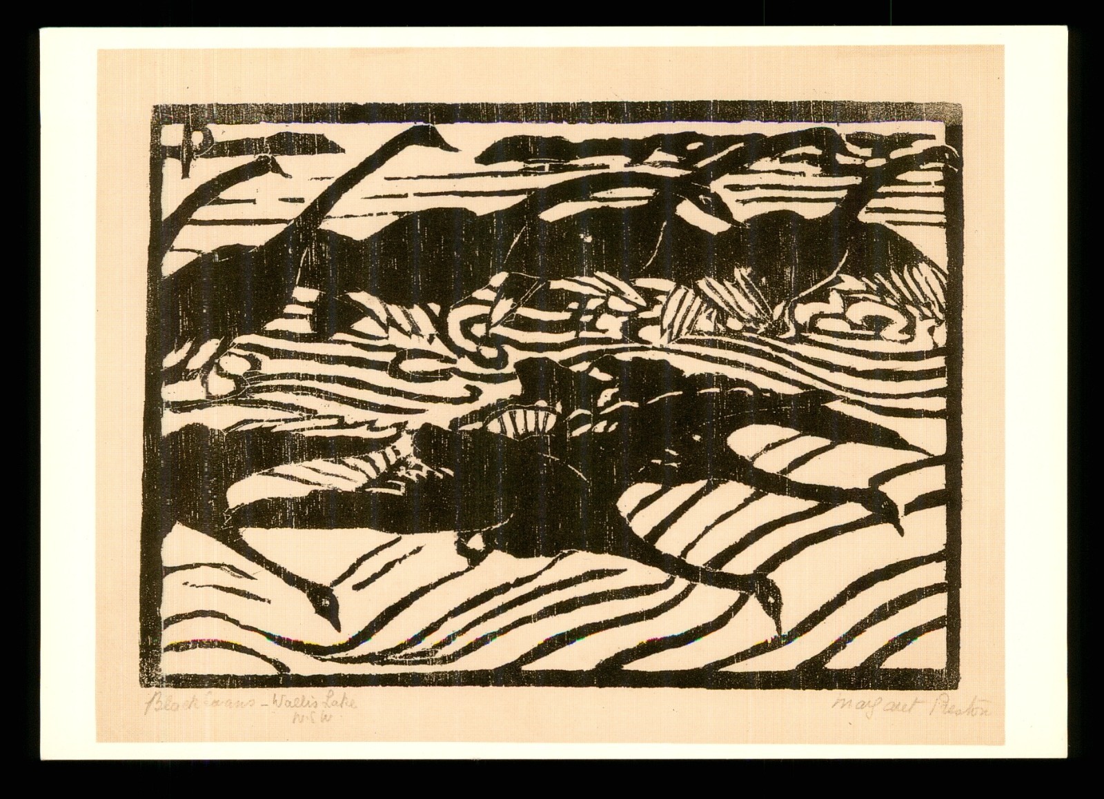 Margaret Preston – Art cards – Unused – Select card from list – B