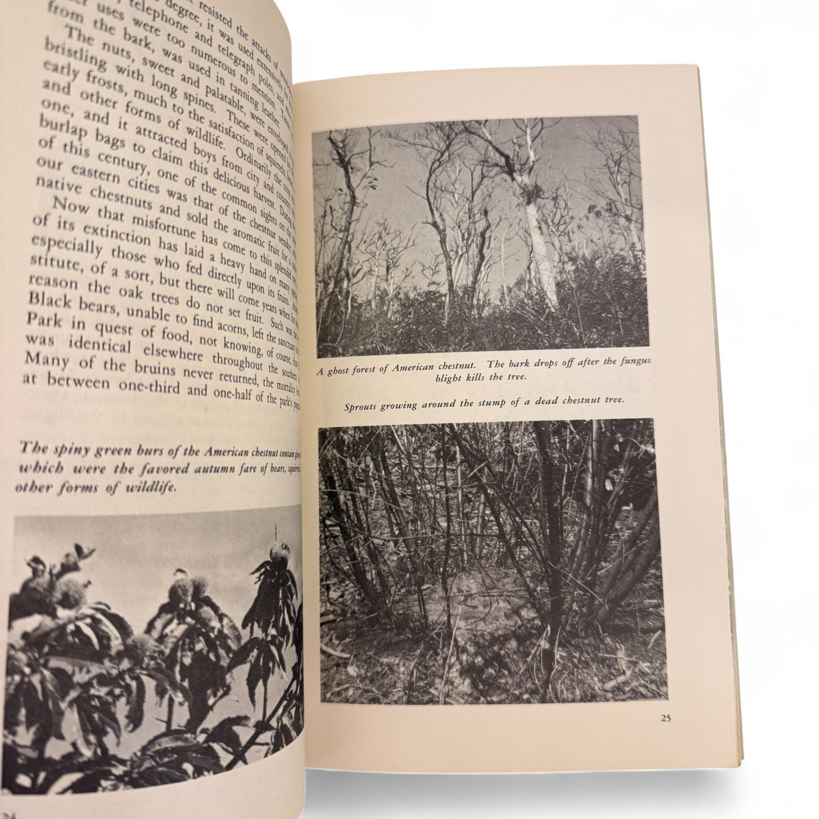 Great Smoky Mountains National Park Natural History Handbook