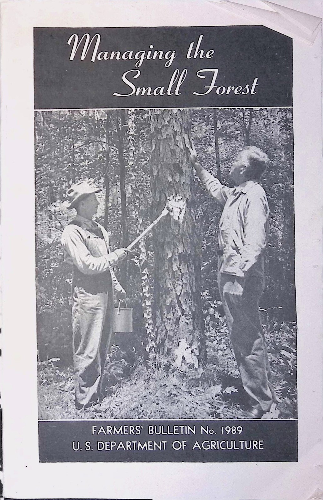 USDA Farmers Bulletin 1989 Managing Small Forest Timber Sale Agreement