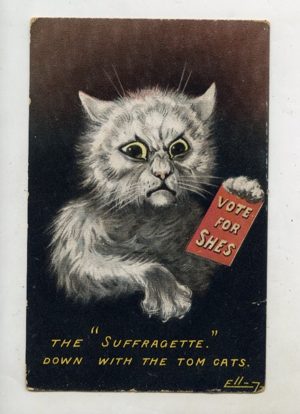 C 1908 ARTIST PU POSTCARD SUFFRAGETTE “VOTE FOR SHES” DOWN WITH TOM CATS N995.
