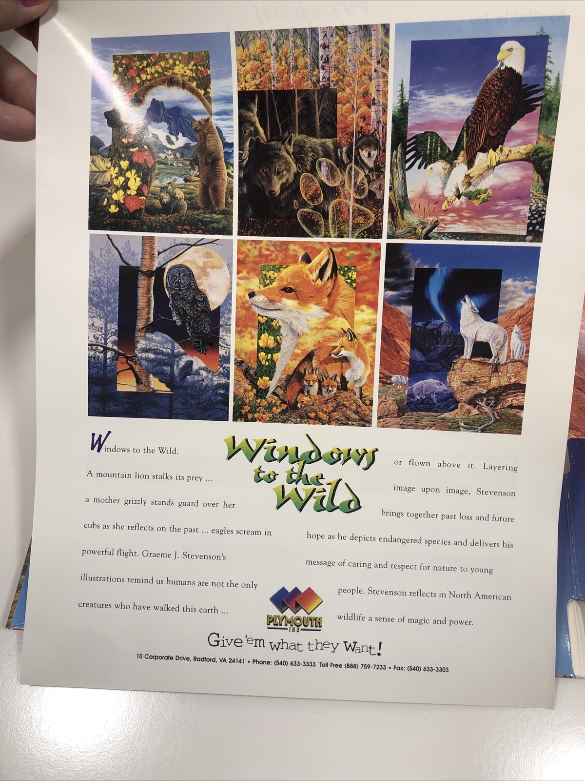 1996 Wild Animals Folder And 6 Posters USA Red Fox Owl Windows To The Wild