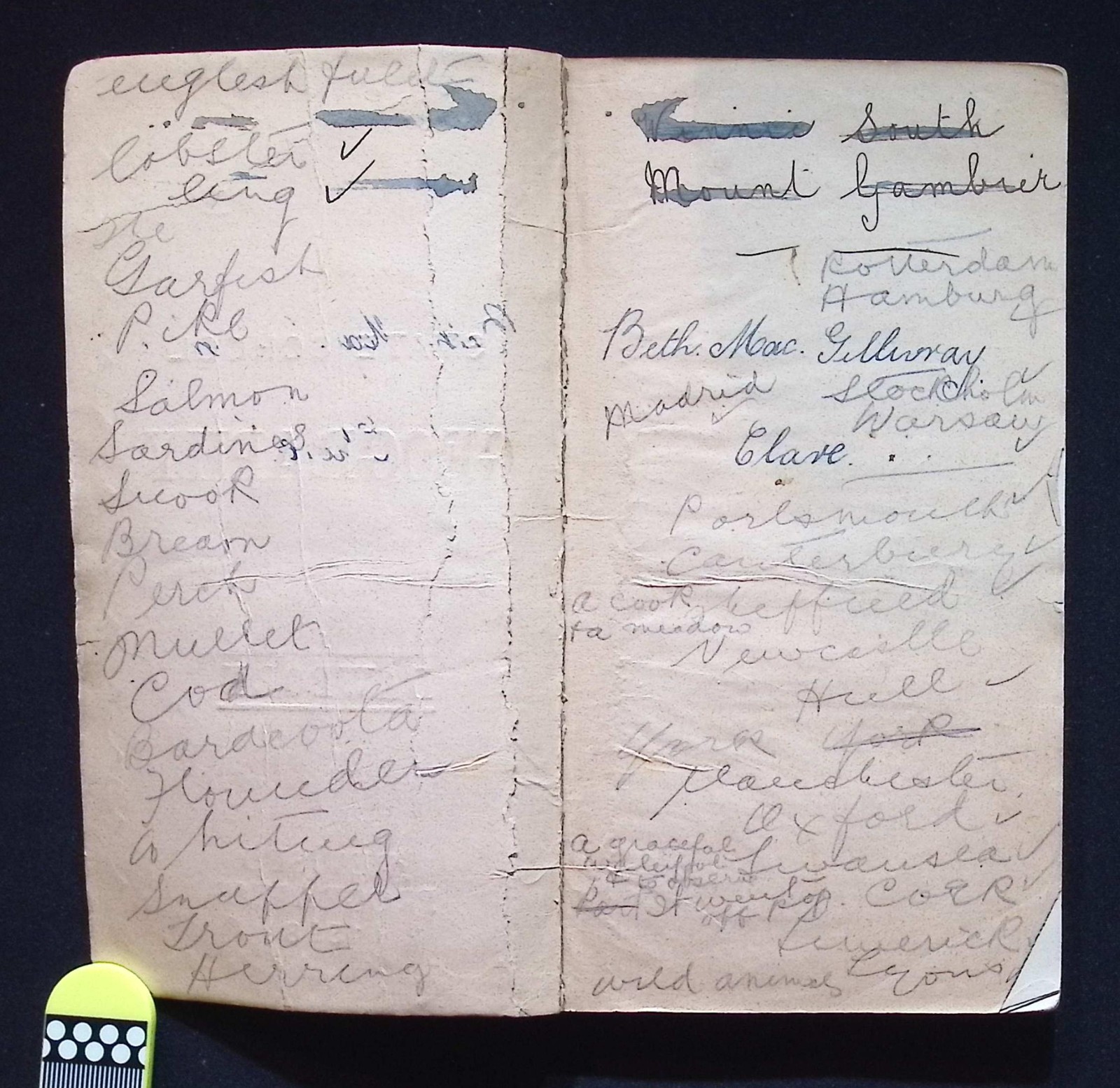 Australian State School Geography Class Book, Dawborn, Revised Programme 1898