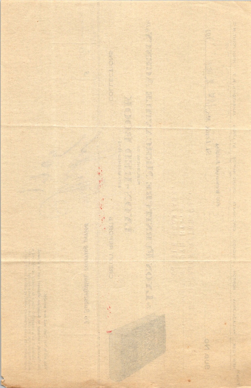 1919 Lyon Furniture Mercantile Agency Invoice Little Rock AR Credit Document