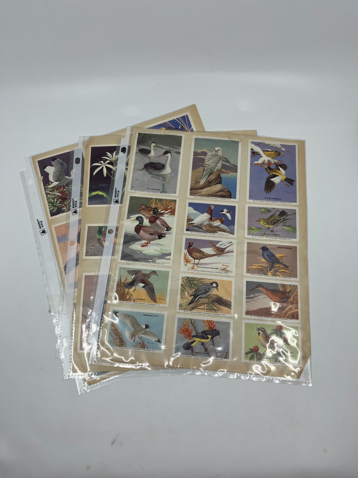 1951 National Wildlife Federation Wildlife Stamp Prints Birds Flowers Stamp Lot