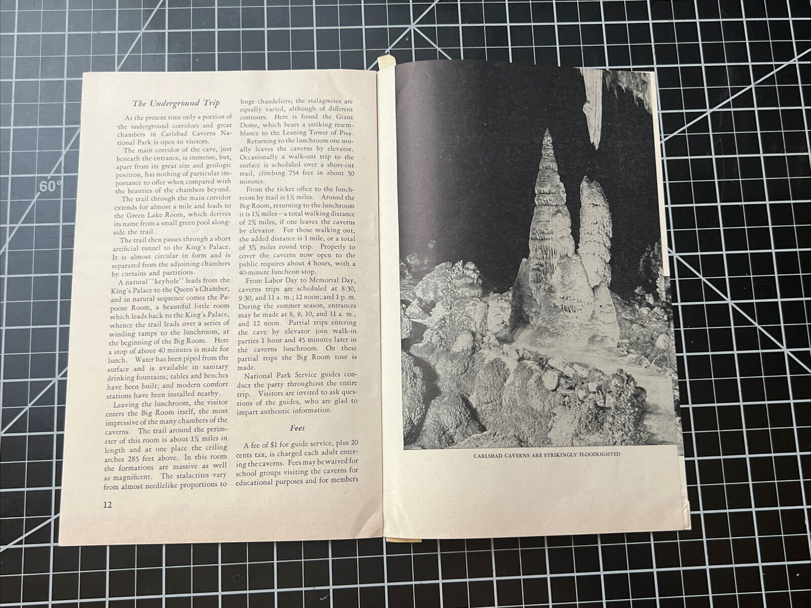 Vintage 1952 Carlsbad Caverns National Park New Mexico Brochure Pamphlet Booklet