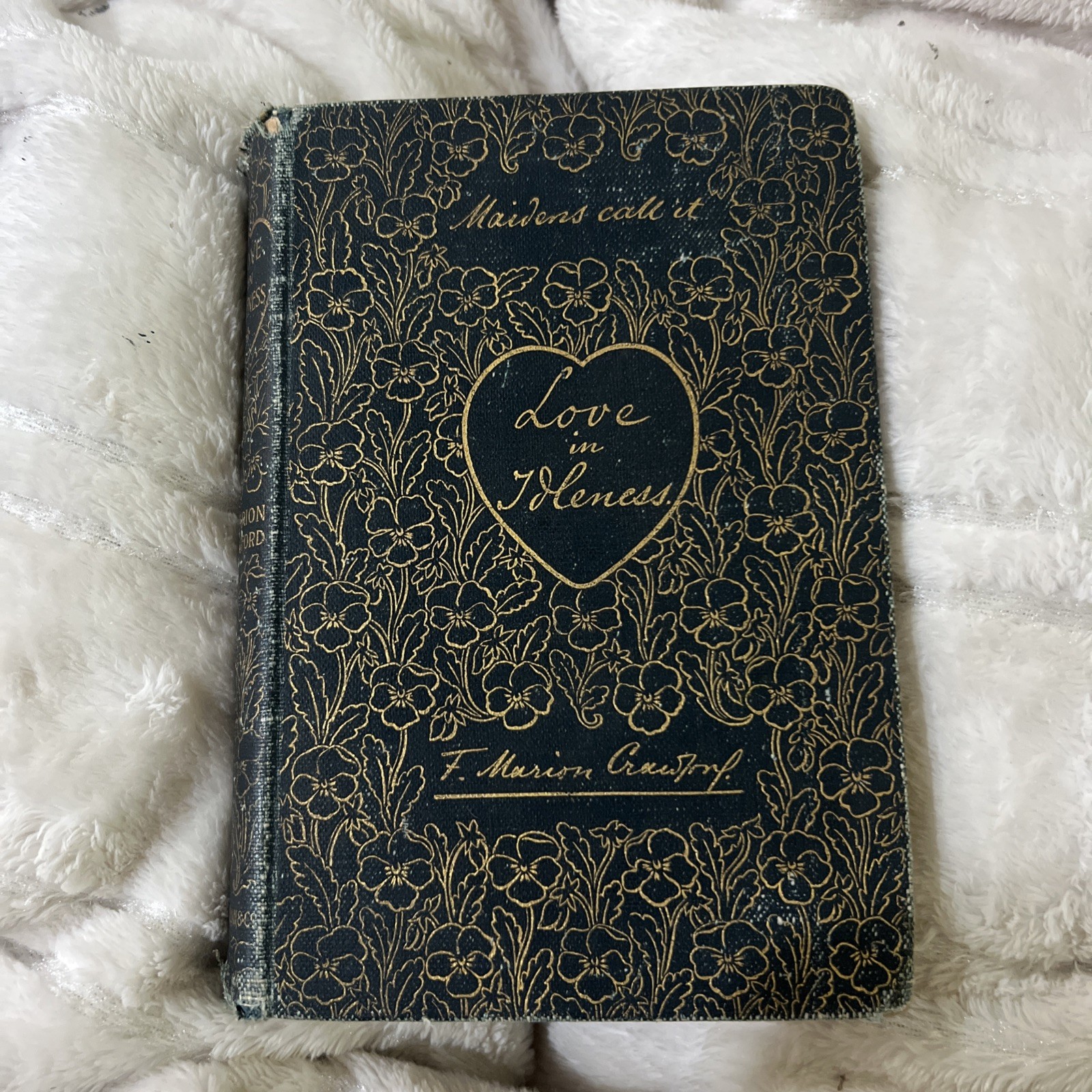 LOVE IN IDLENESS A Tale of Bar Harbor Maine 1894 1st Edition Illustrated