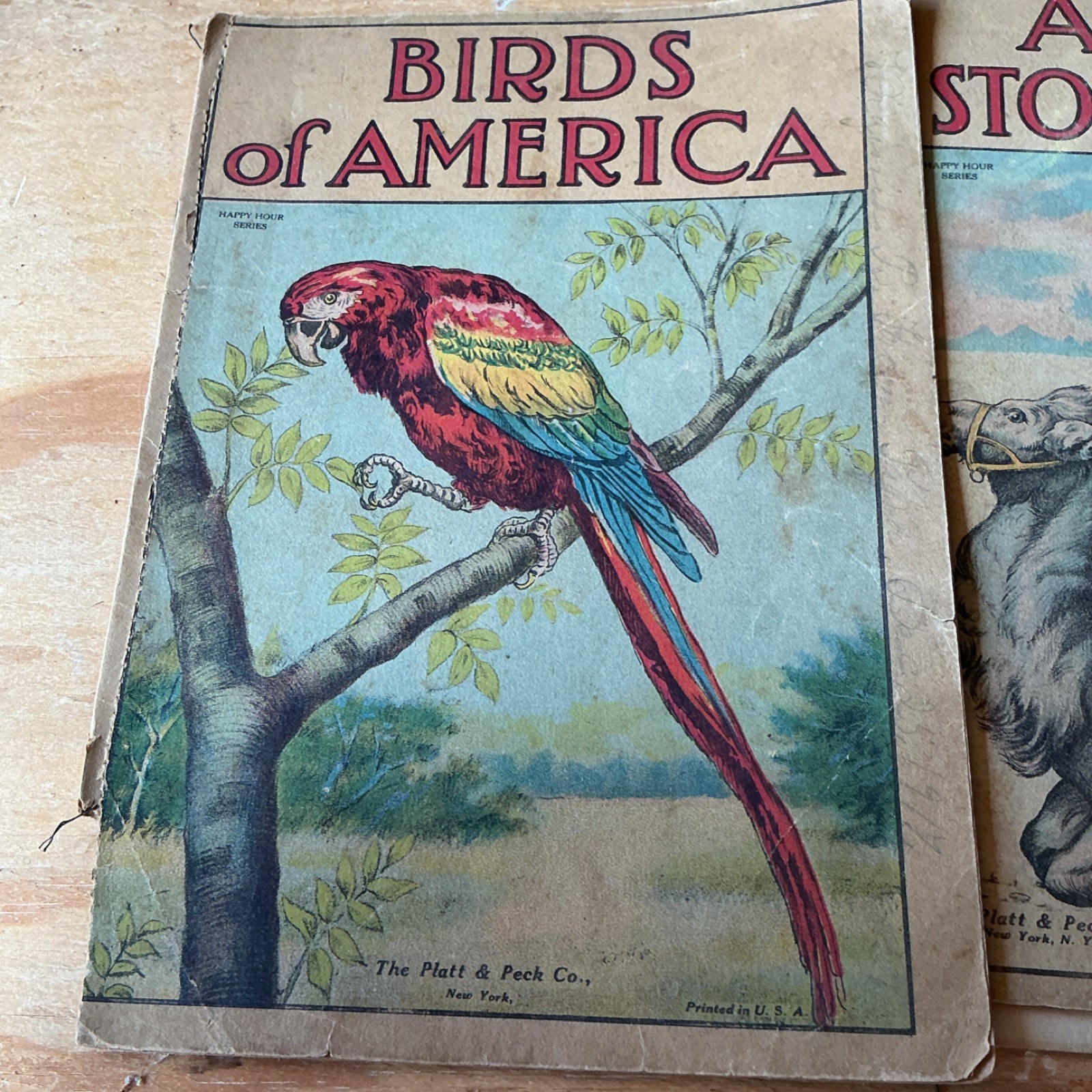 Antique Books very rare Platt & Peck Birds of America Illustrated loose pages