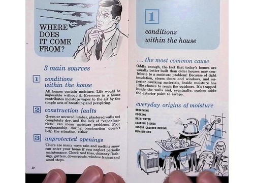 Sears Paint Peeling? Hidden Moisture Home Guide 1950s #28 Walls Plaster