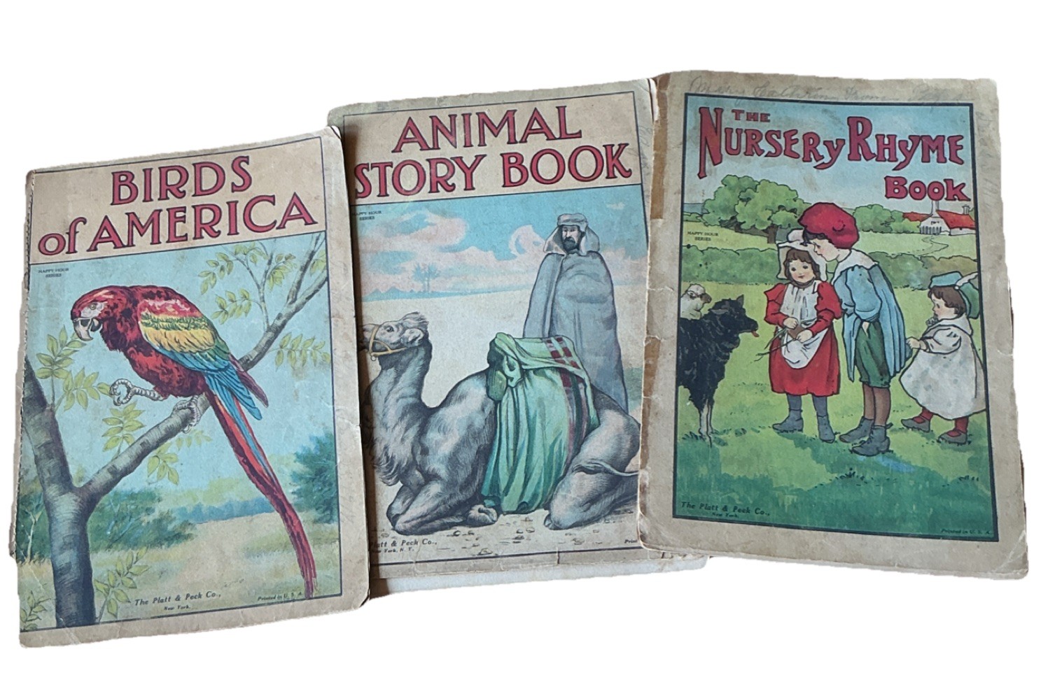 Antique Books very rare Platt & Peck Birds of America Illustrated loose pages