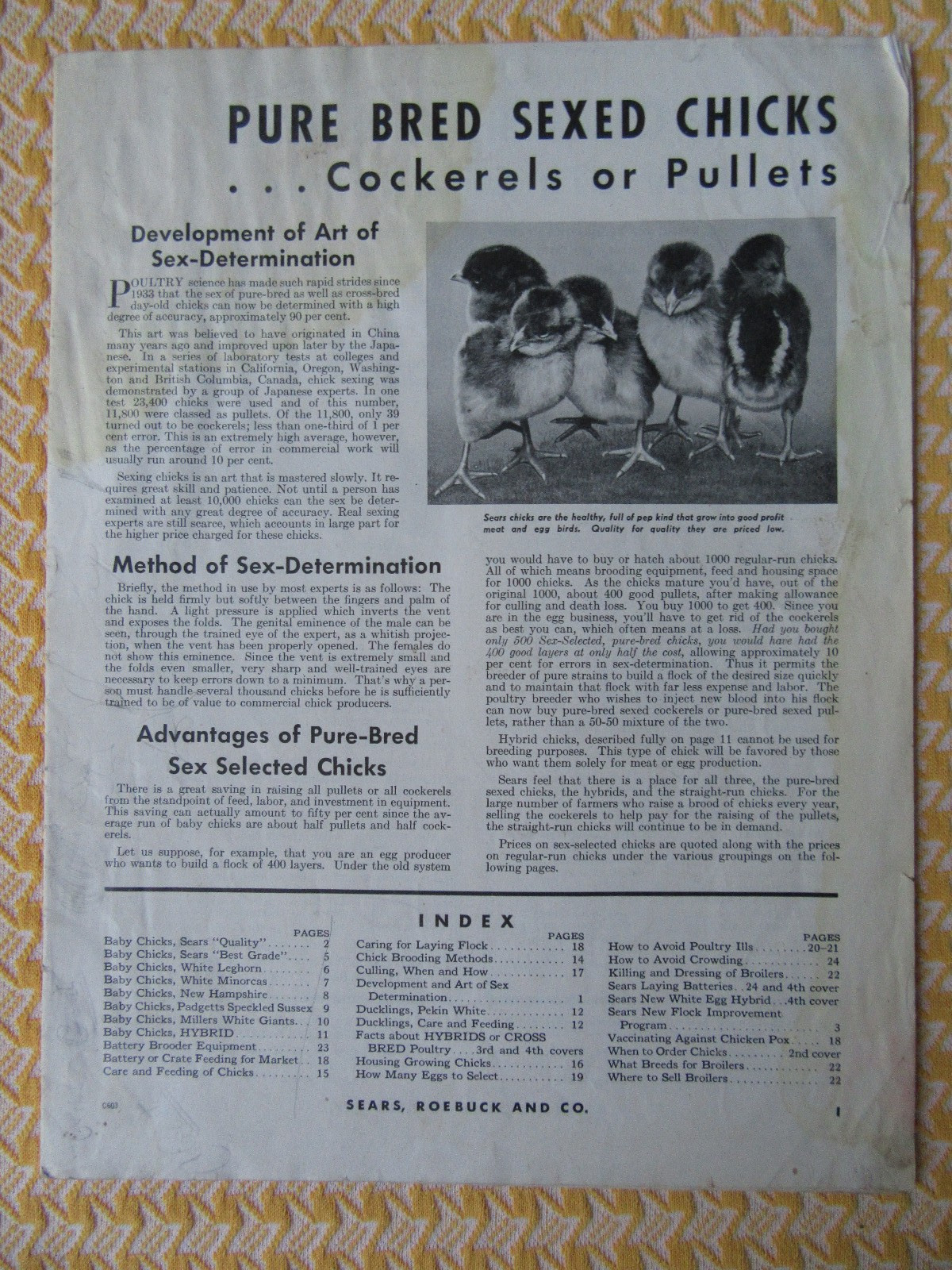 Sears, Roebuck and Co Mini Catalog, Baby Chicks, Buy Chickens, Poultry Raisers