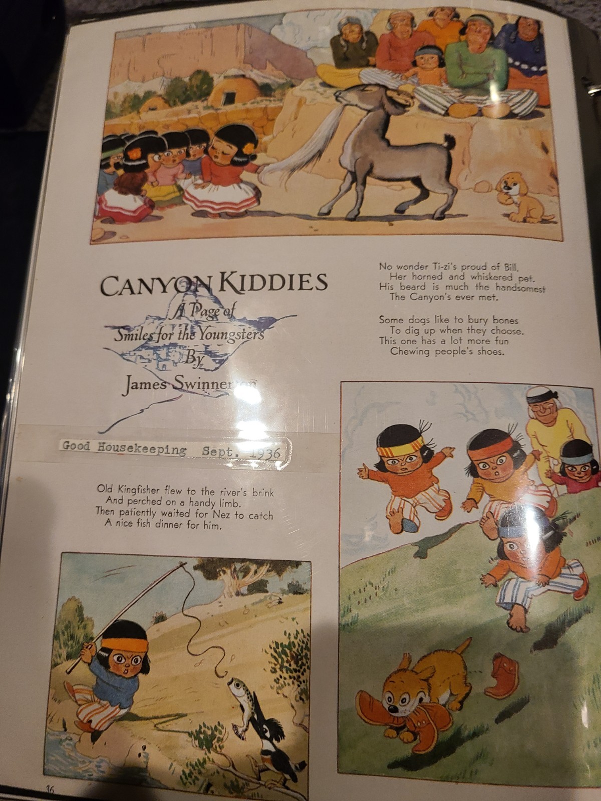 1936 Canyon Kiddies James Swinnerton Raccoon Wild Dove Vintage Print Ad Lot 10