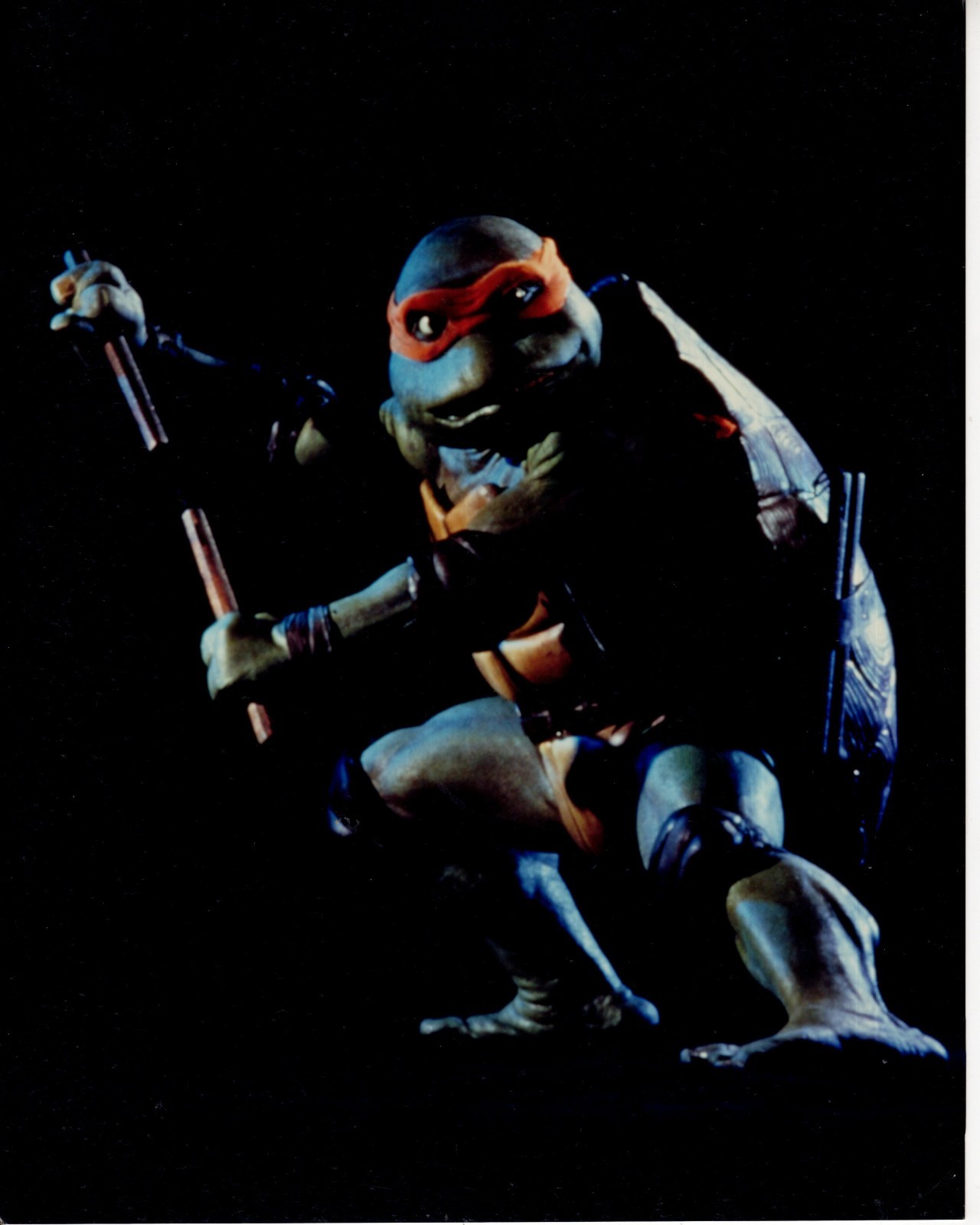 Teenage Mutant Ninja Turtle 8×10 photo #W7292