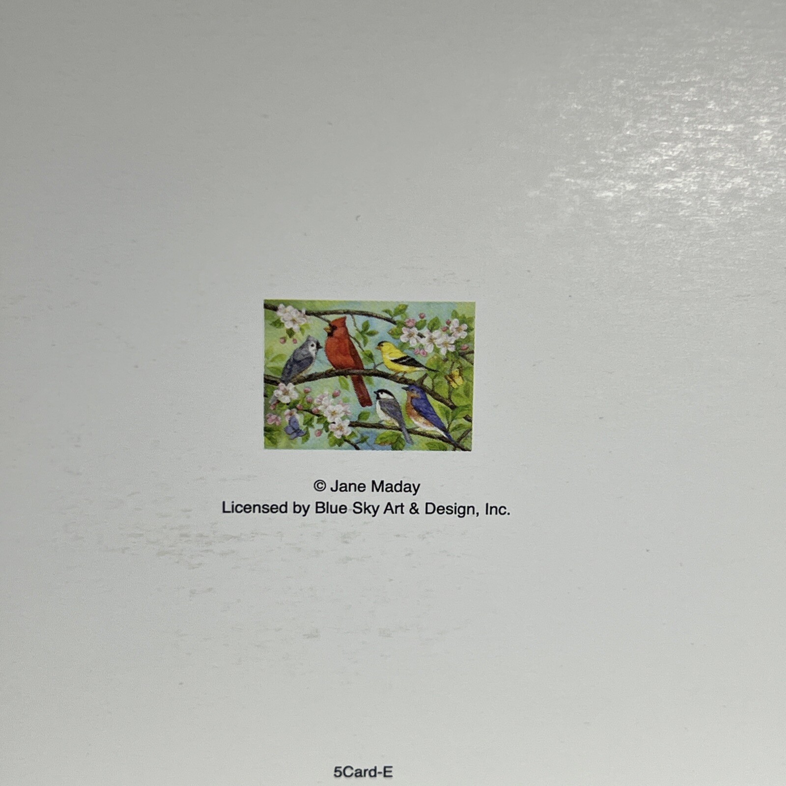 Jane Maday Blank Greeting Card Birds In Spring Cardinal Goldfinch Bluebird