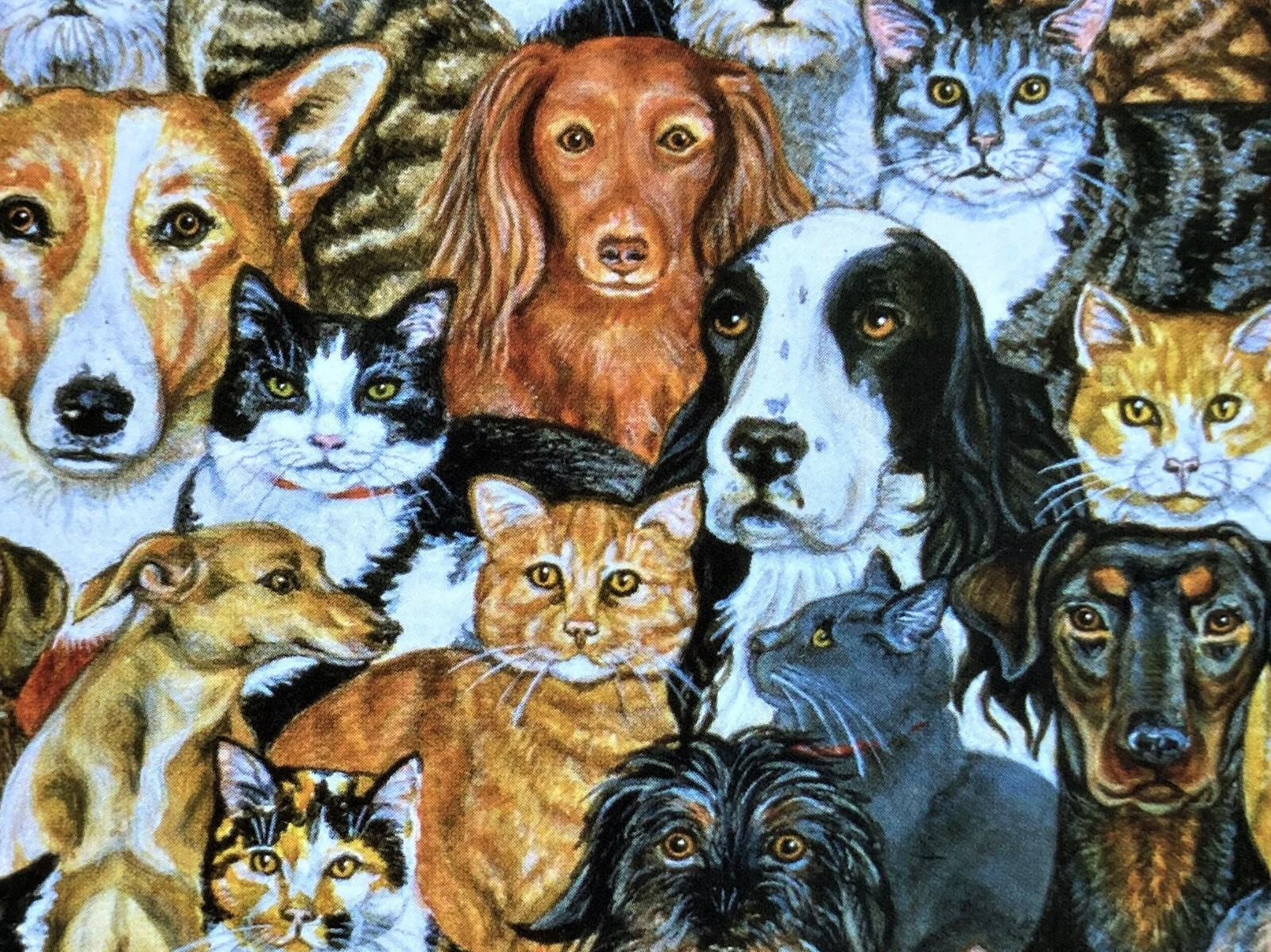 1 Lots Of Cats And Dogs Large Blank Note Card Ditz Tabby Calico Husky