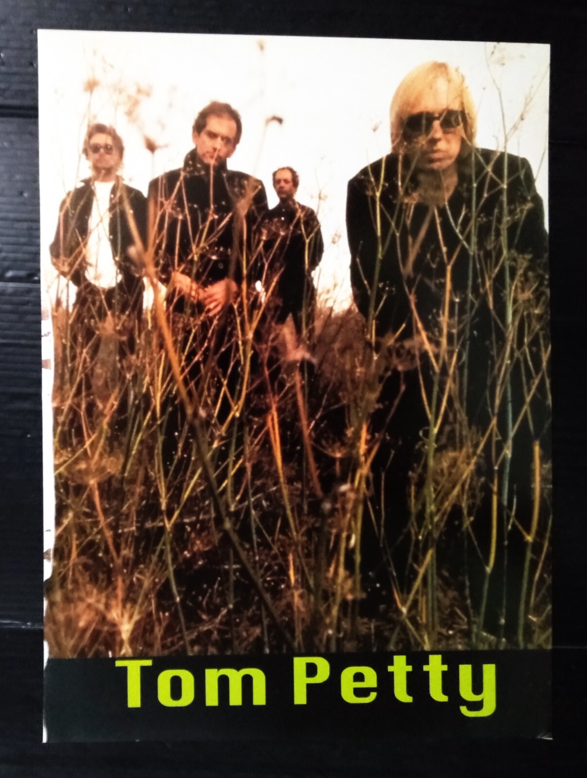 C403 Tom Petty Dixie Chicks Vintage Thailand ONLY 1 COLOR PAGE MEGA RARE!!!